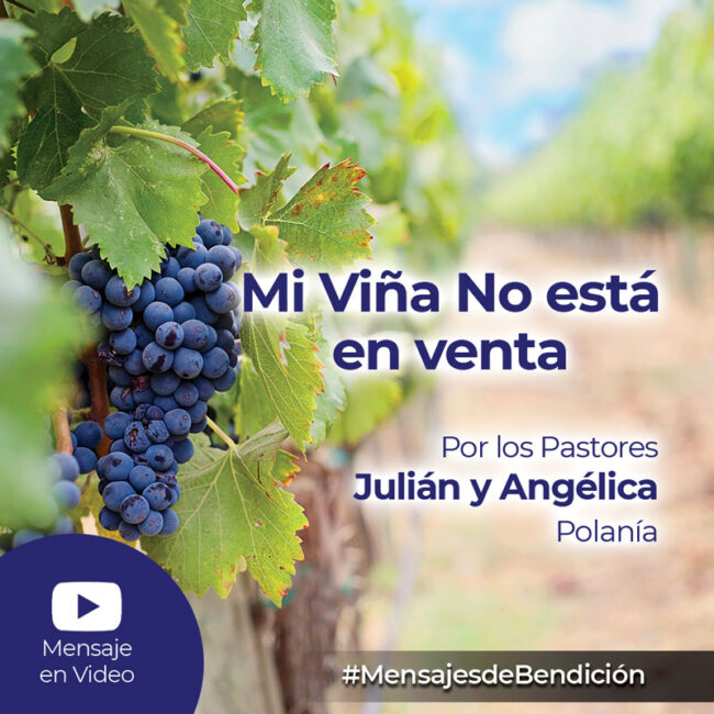 Mi Viña no esta en Venta – La Viña de Nabot